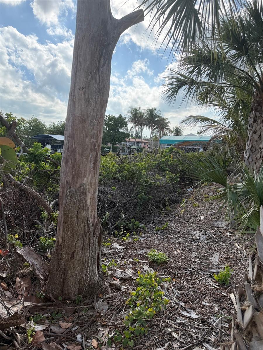 Image 10 of 10 For 5255 Ann Arbor Drive