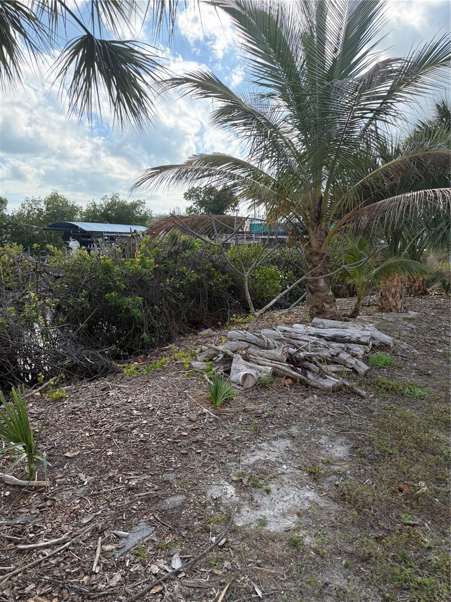 Image 9 of 10 For 5255 Ann Arbor Drive