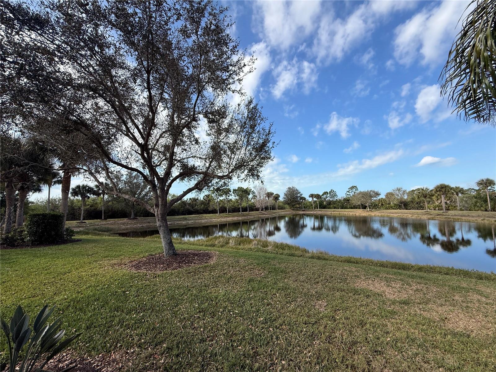 Image 52 of 90 For 13551 Salinas Street