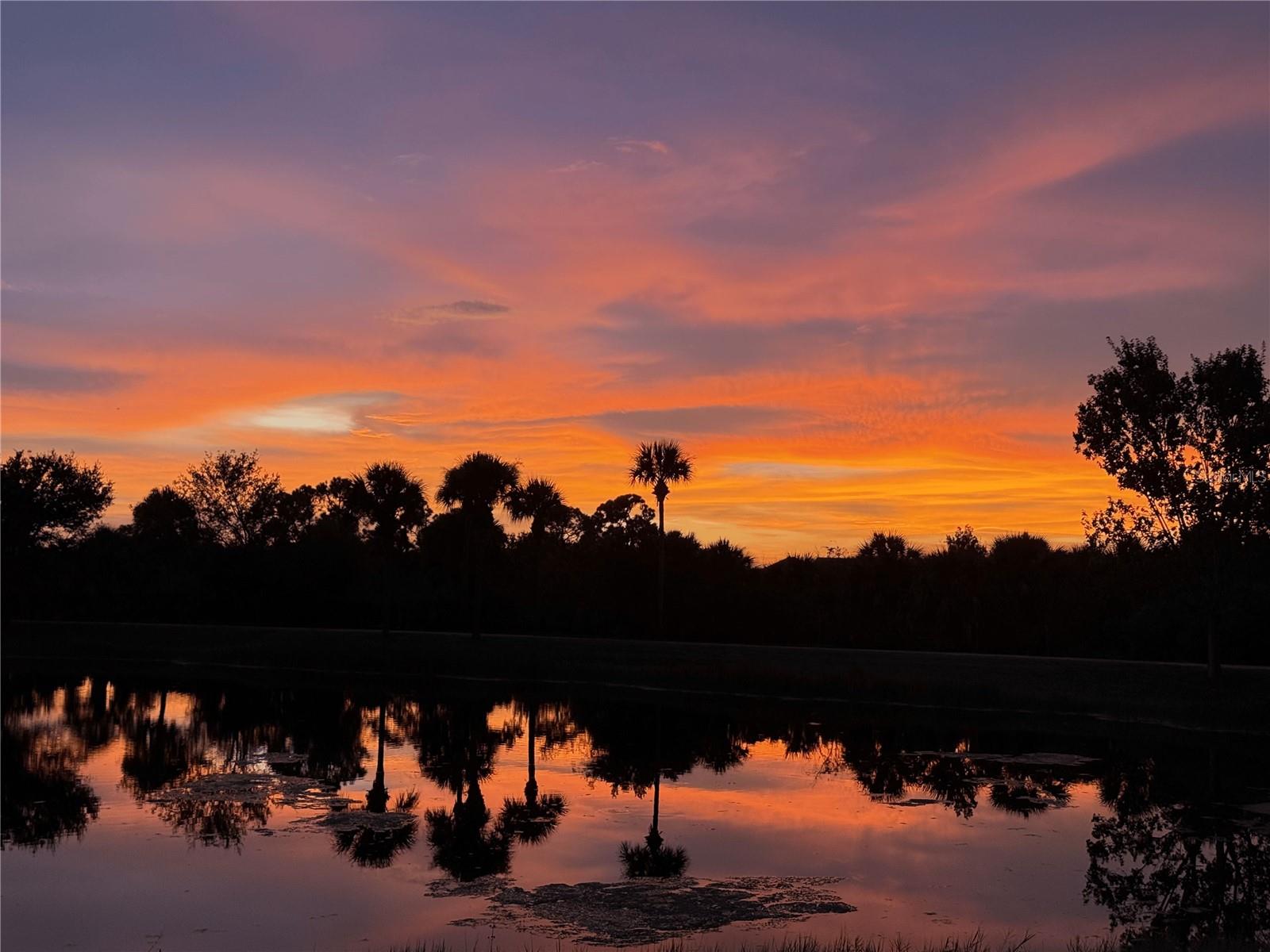 Image 54 of 90 For 13551 Salinas Street