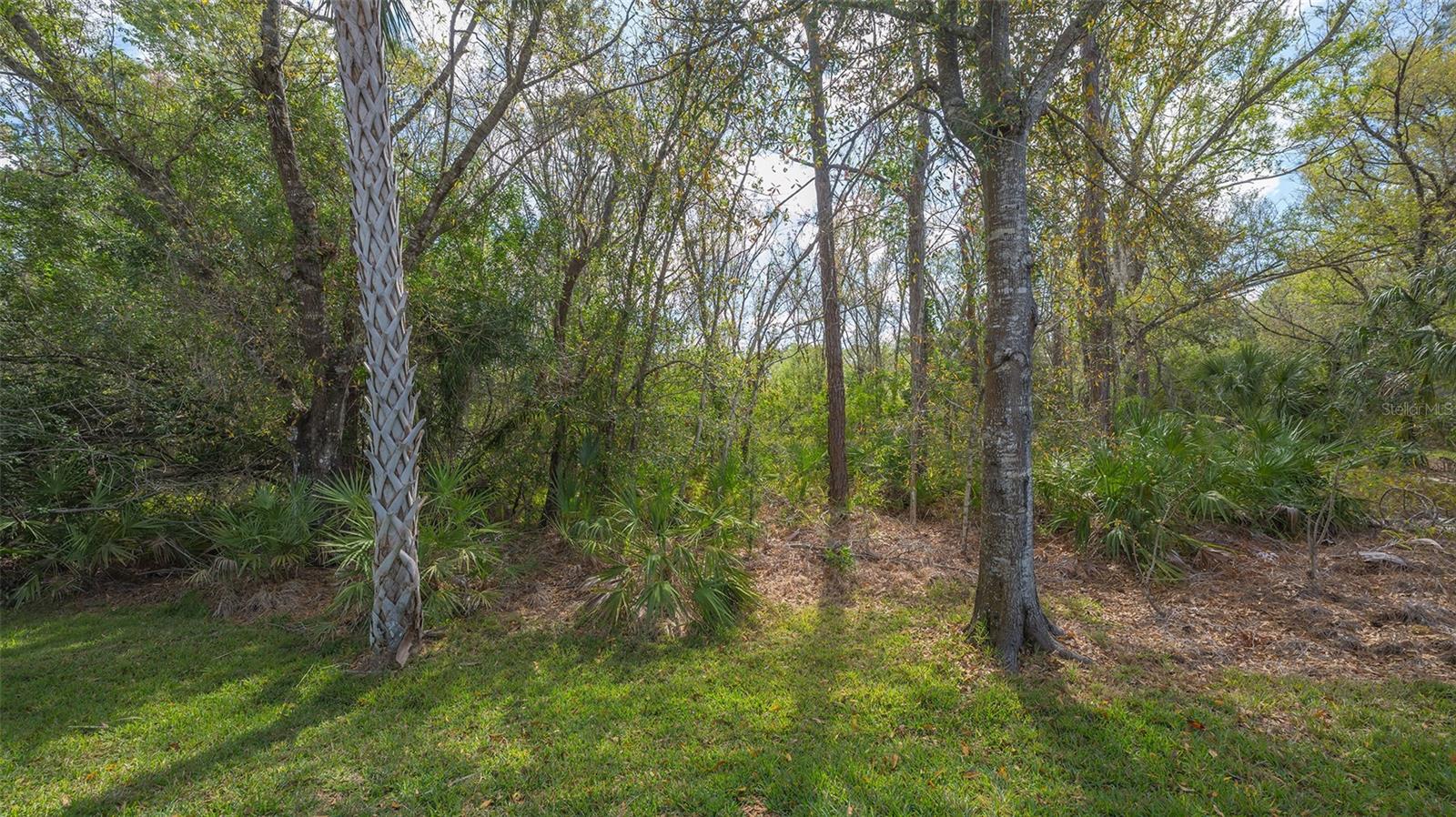 Image 46 of 82 For 8215 Waterview Boulevard