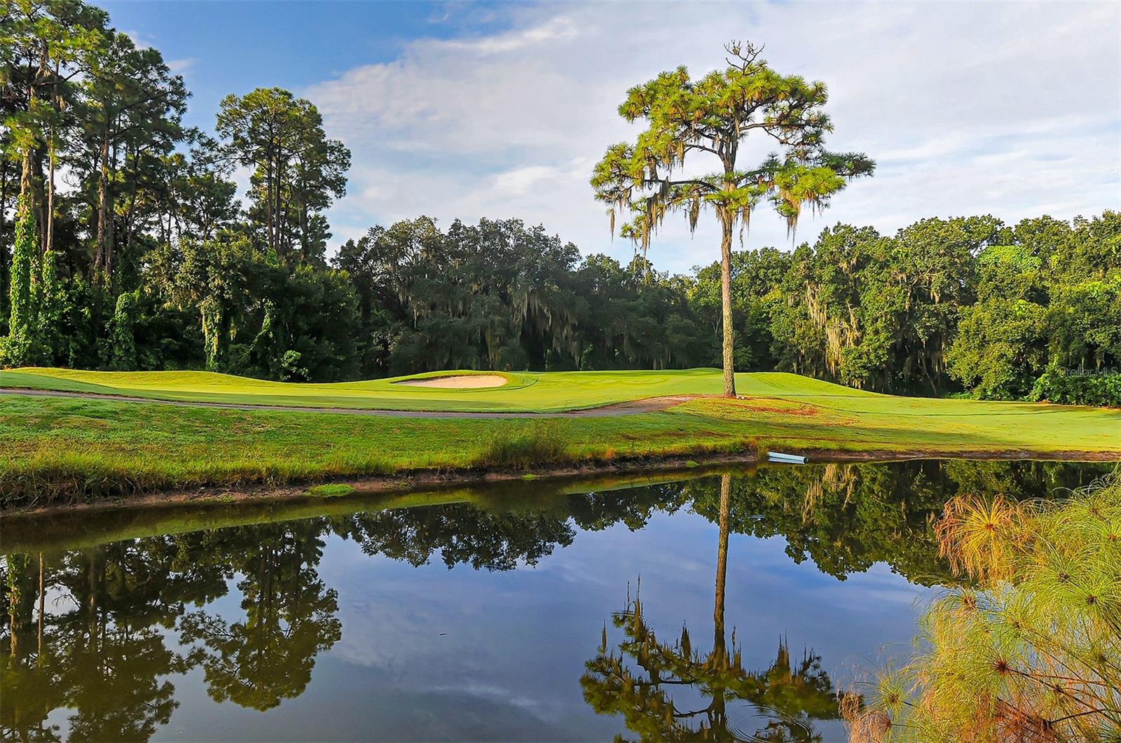 Image 67 of 70 For 5521 Chanteclaire  21