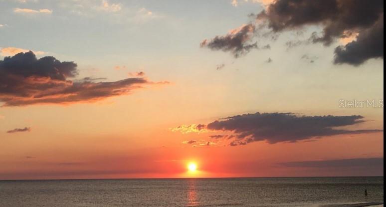 Image 41 of 47 For 2244 Palm Terrace