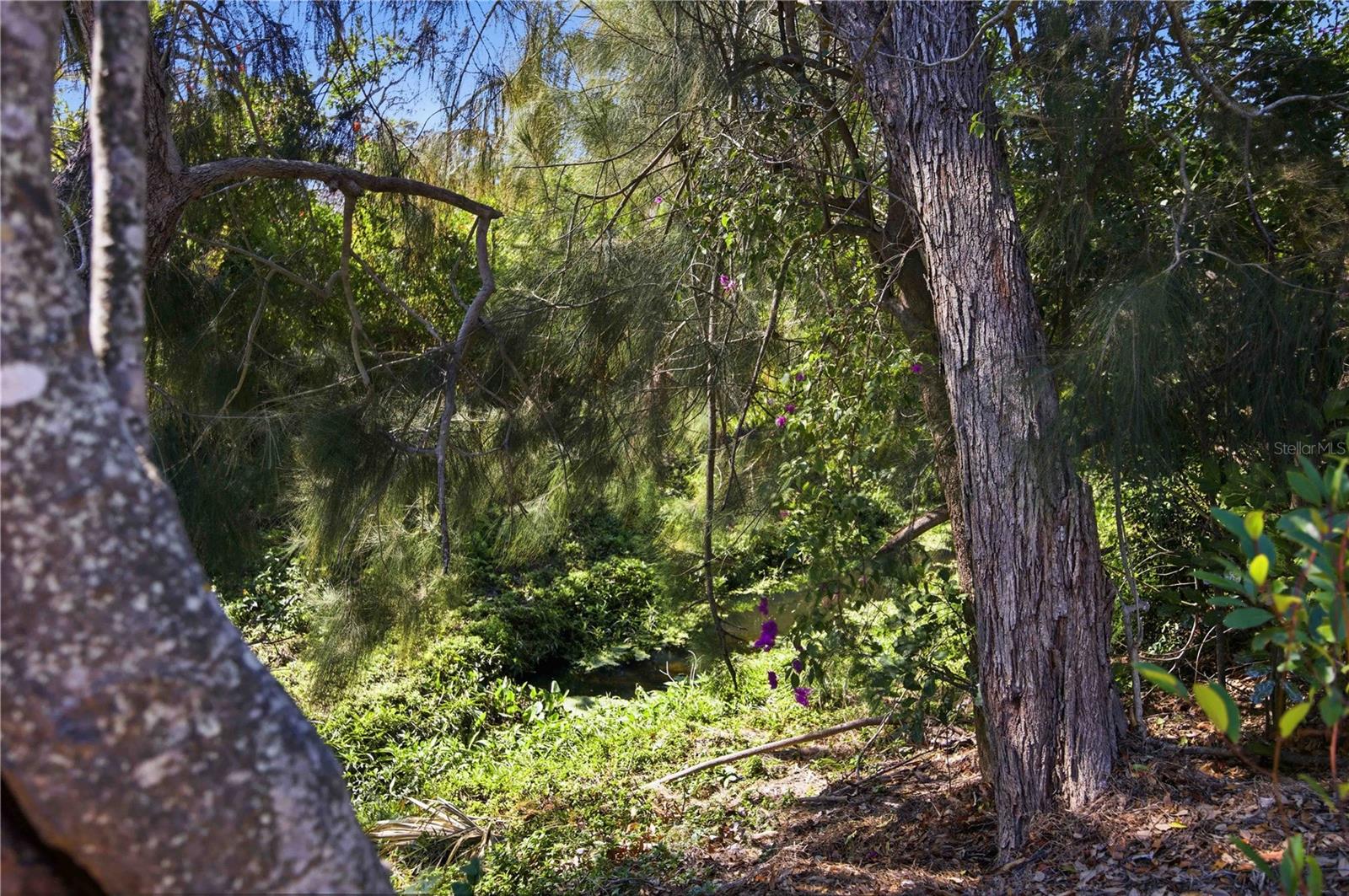 Image 34 of 37 For 2244 Sunnyside Place