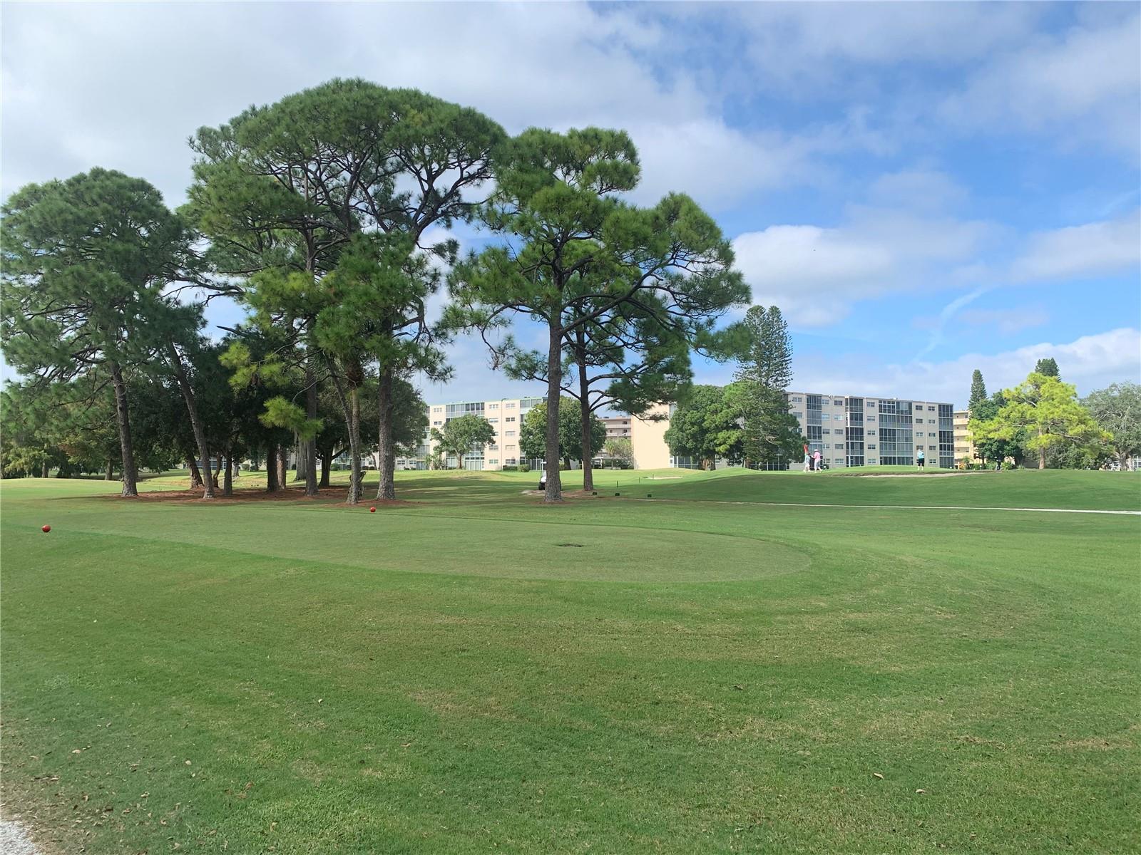 Image 20 of 22 For 3840 Ironwood Lane 506h