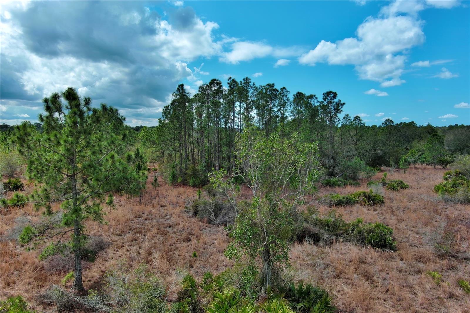 Image 3 of 16 For 2107 405 Ct E