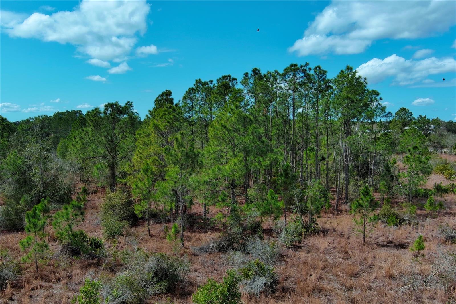 Image 4 of 16 For 2107 405 Ct E