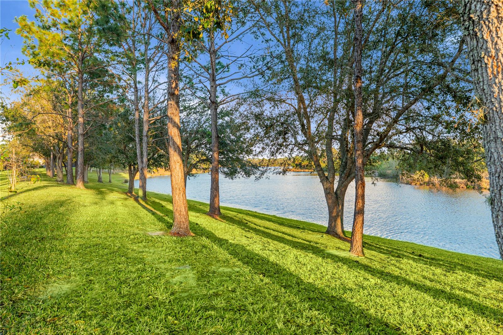 Image 5 of 35 For 13209 22nd Court E