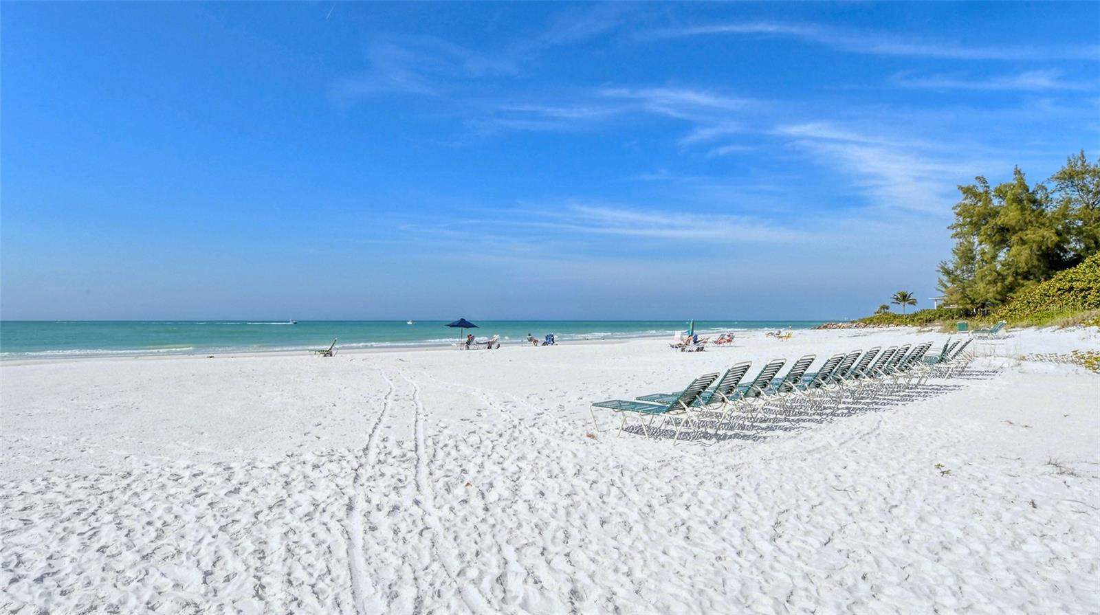 Image 47 of 64 For 199 Whispering Sands Drive 204