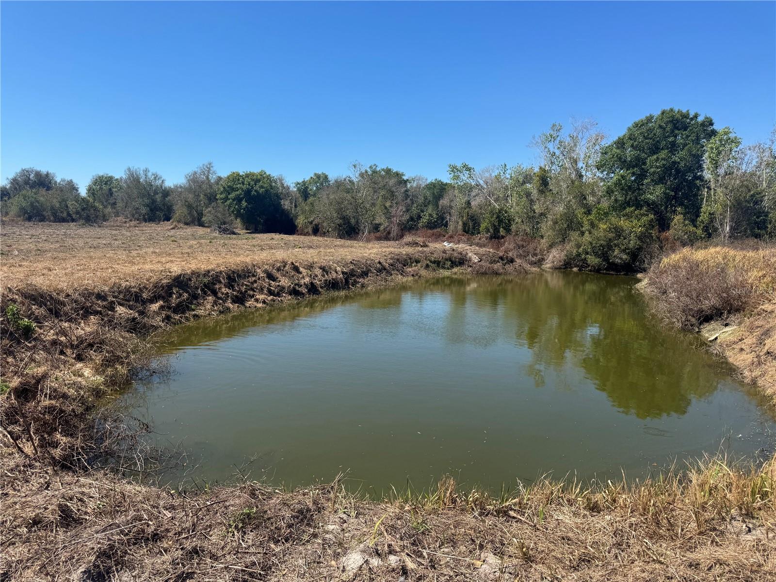 Image 7 of 10 For 6119 Webb Drive