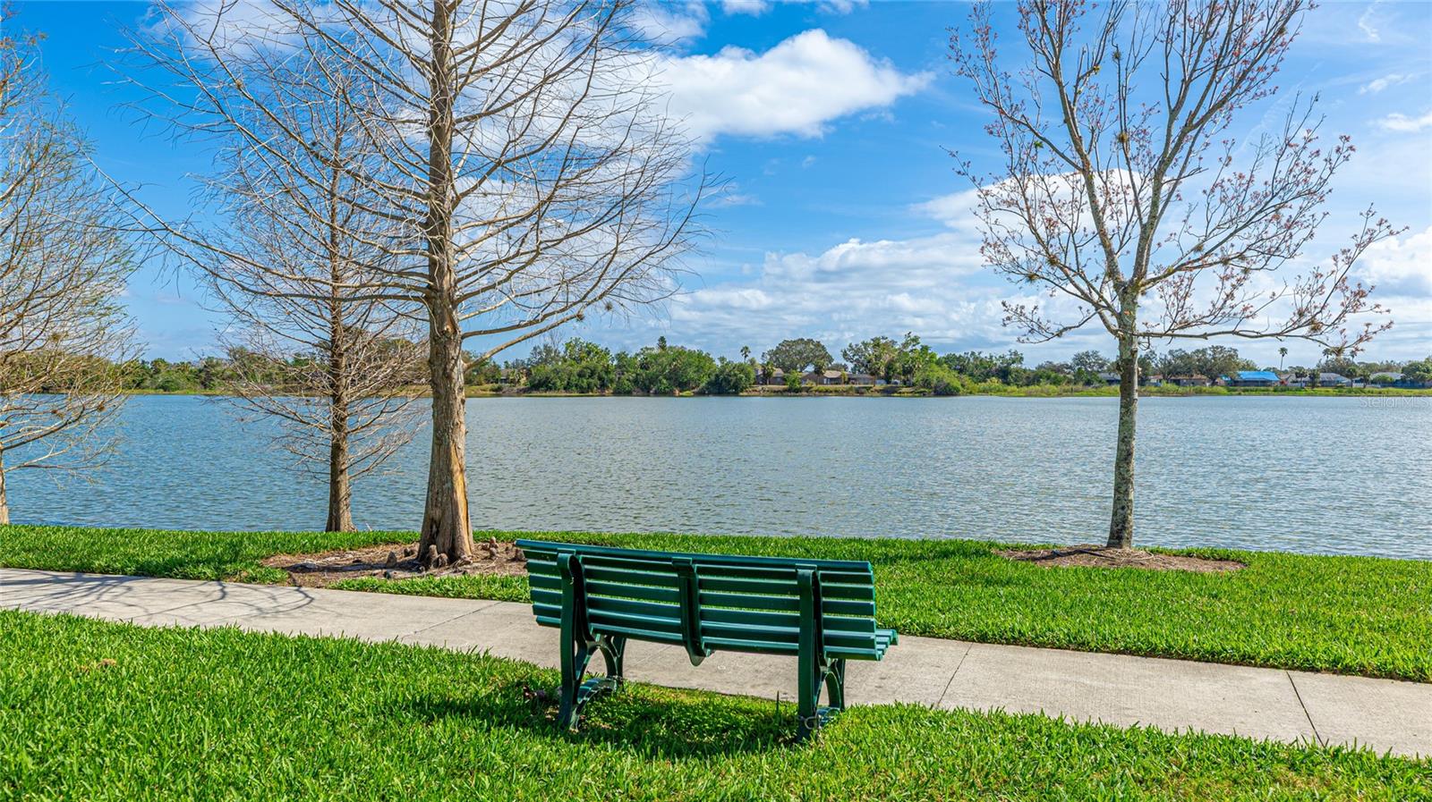 Image 41 of 49 For 5513 Olano Street