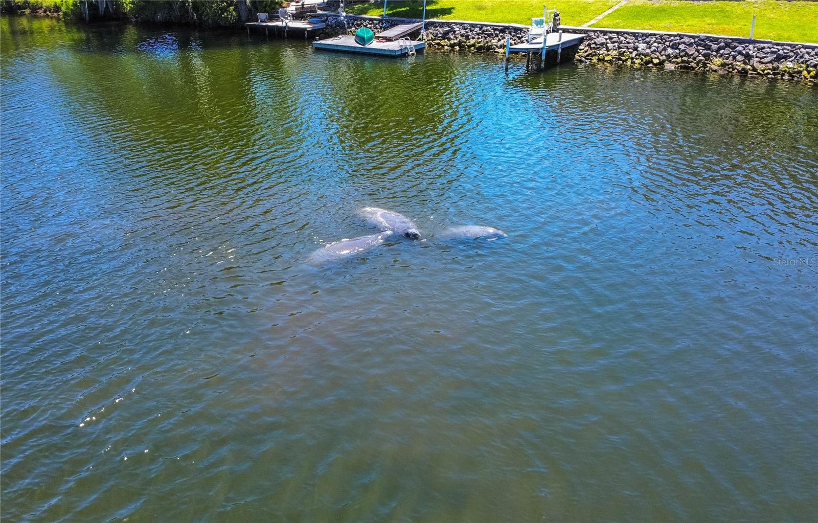Image 9 of 46 For 3861 Ringdove Point