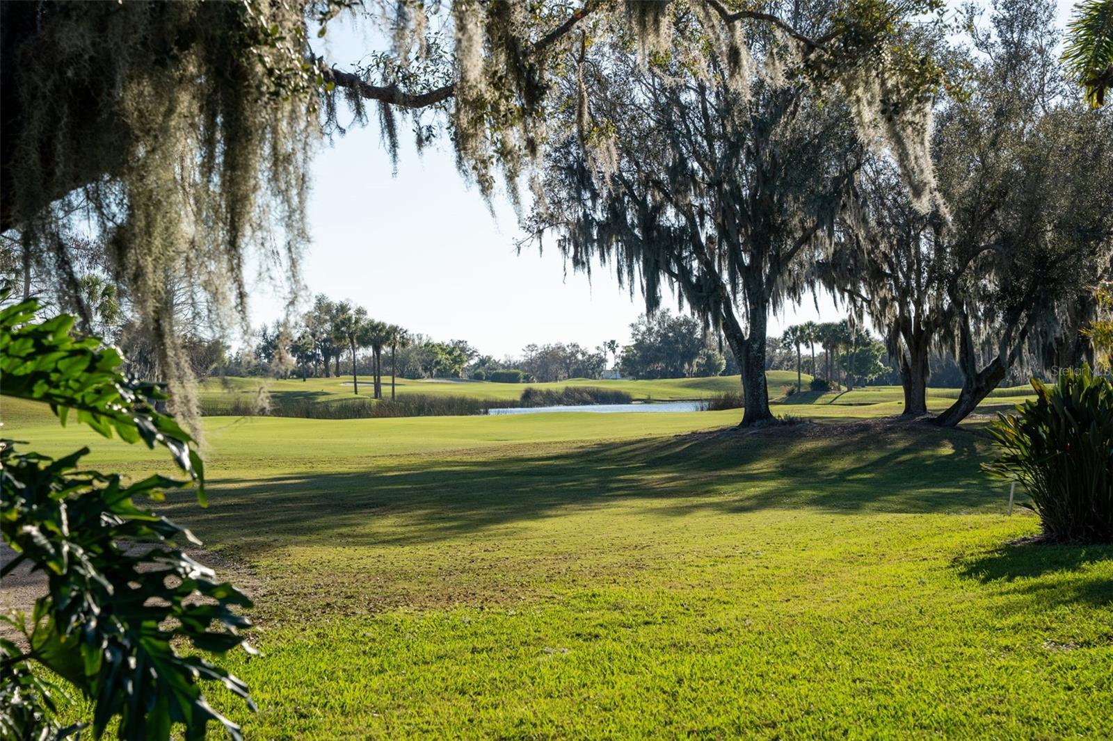 Image 61 of 93 For 2571 Dick Wilson Drive