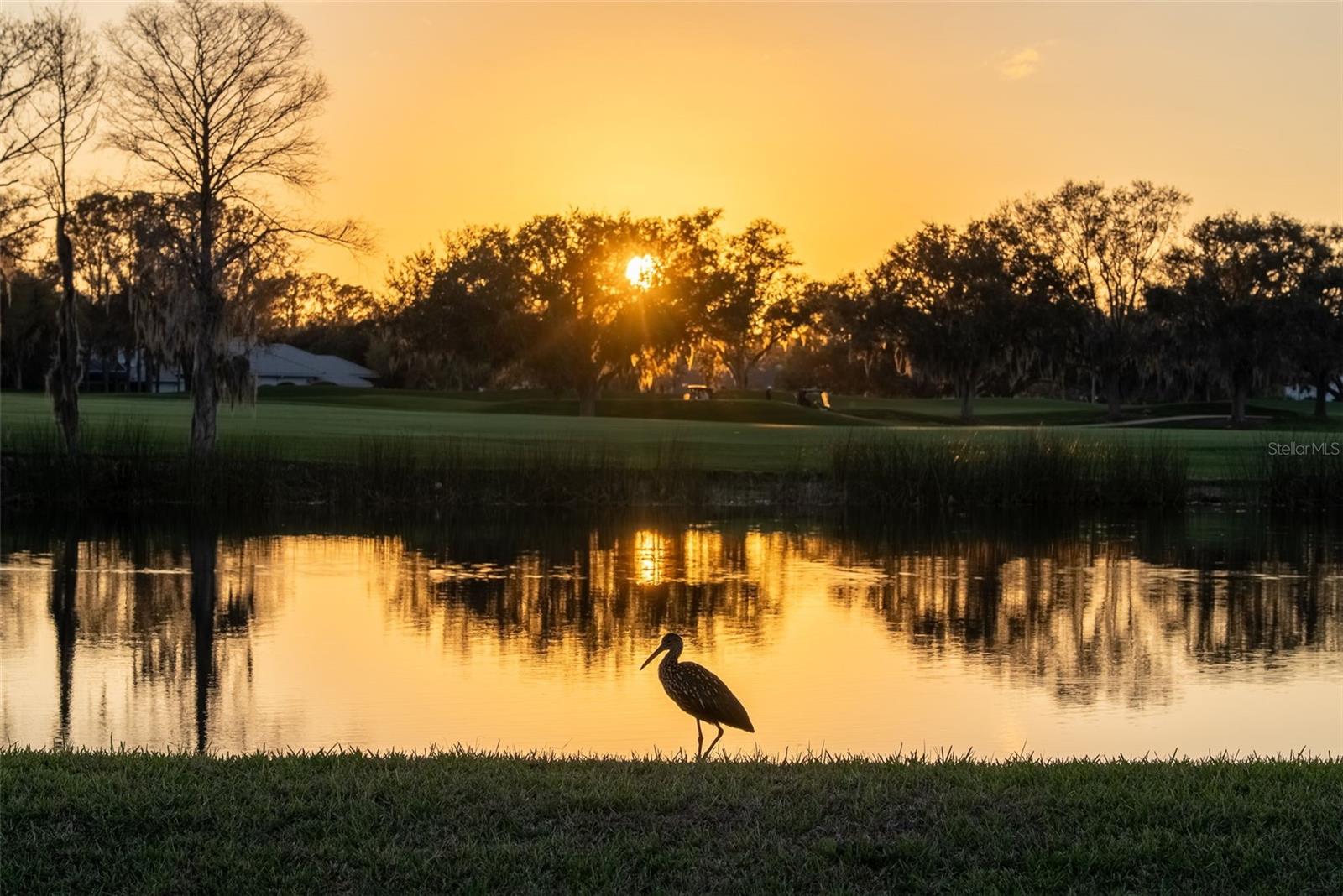 Image 93 of 93 For 2571 Dick Wilson Drive