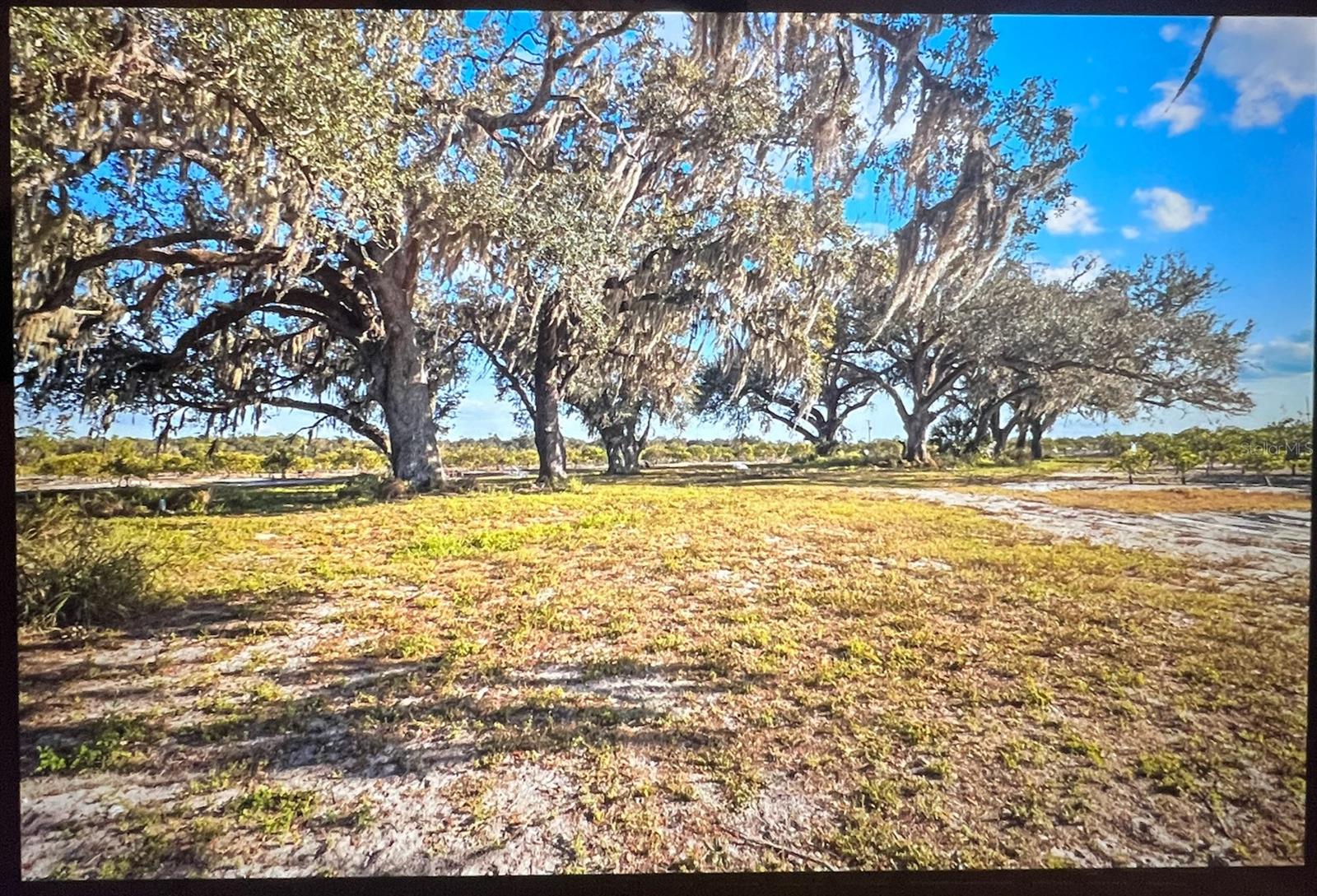 Image 17 of 17 For 8423 Pine Level Street