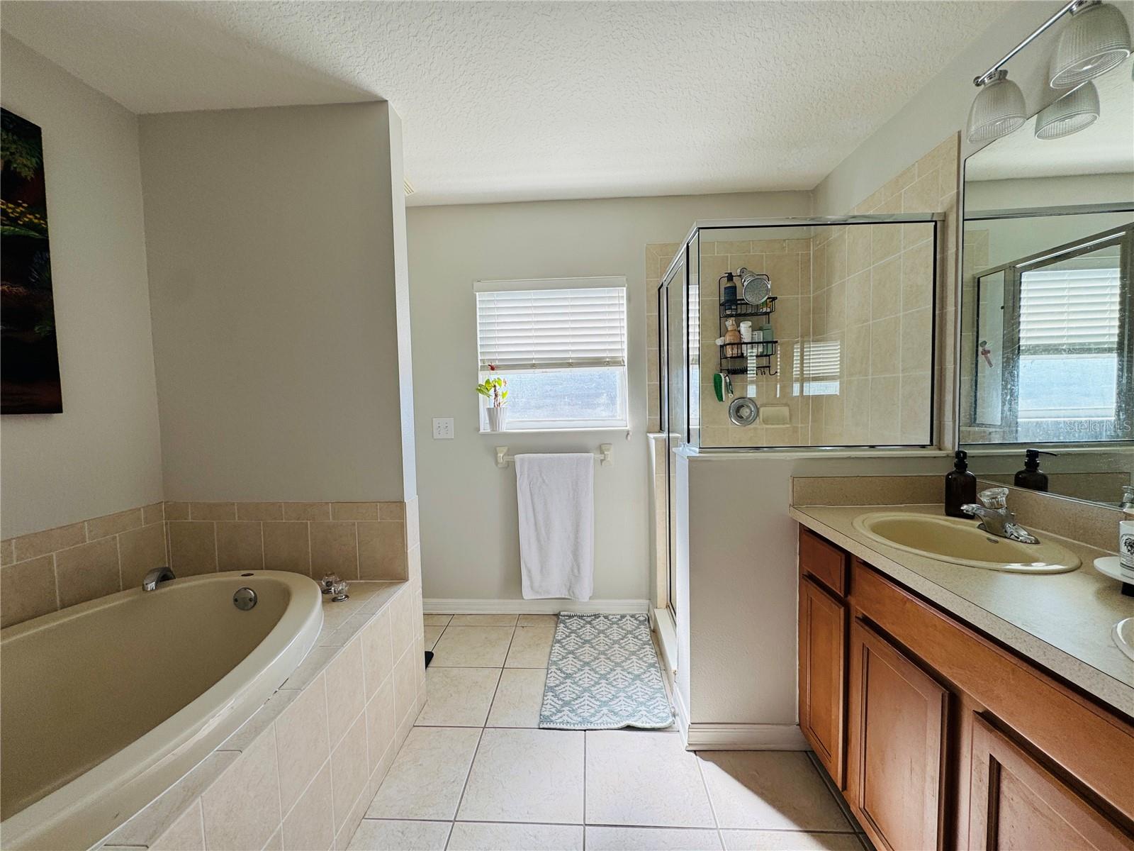 Image 14 of 18 For 15207 Searobbin Drive