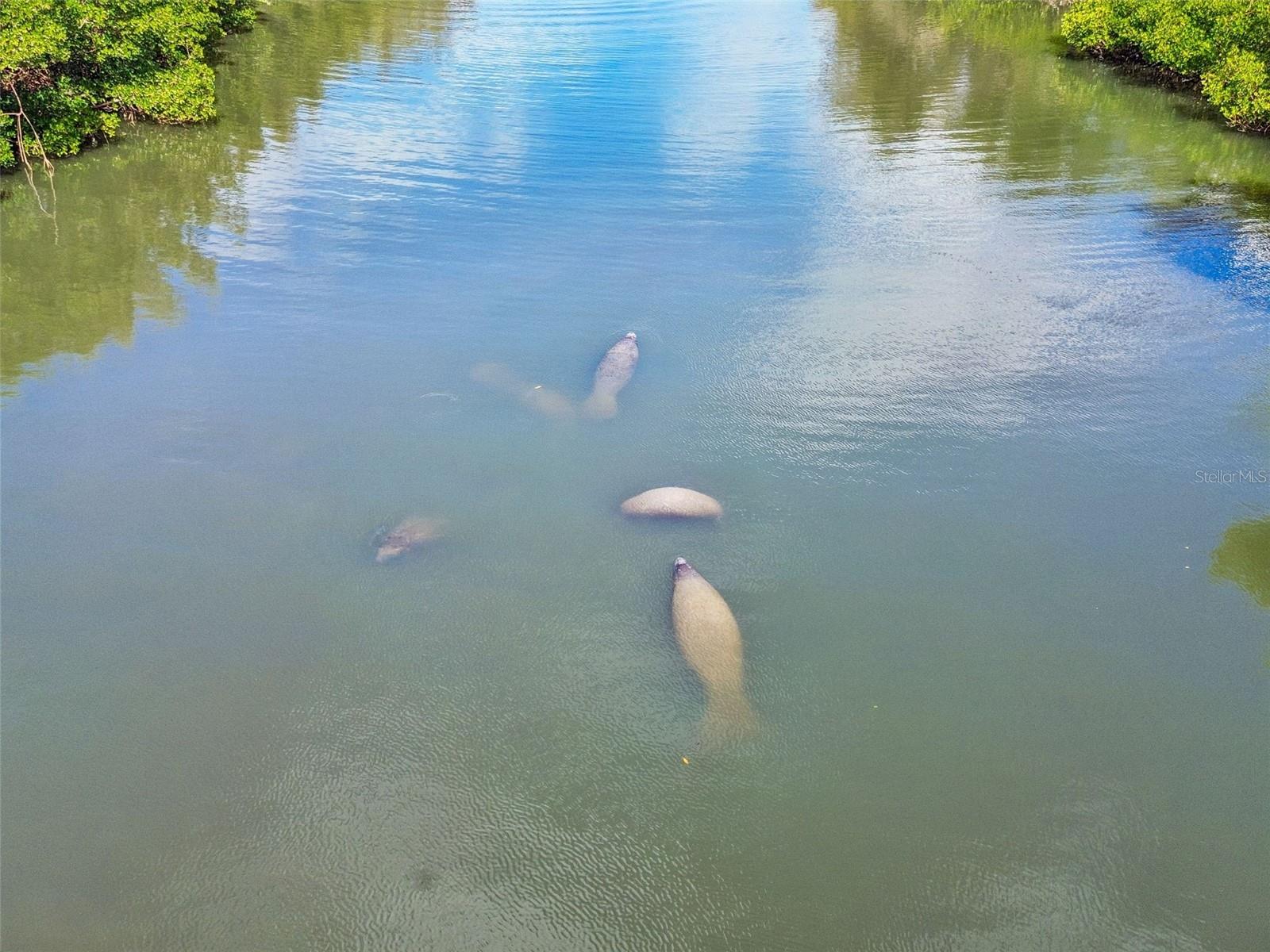 Image 72 of 92 For 454 Bahia Beach Boulevard