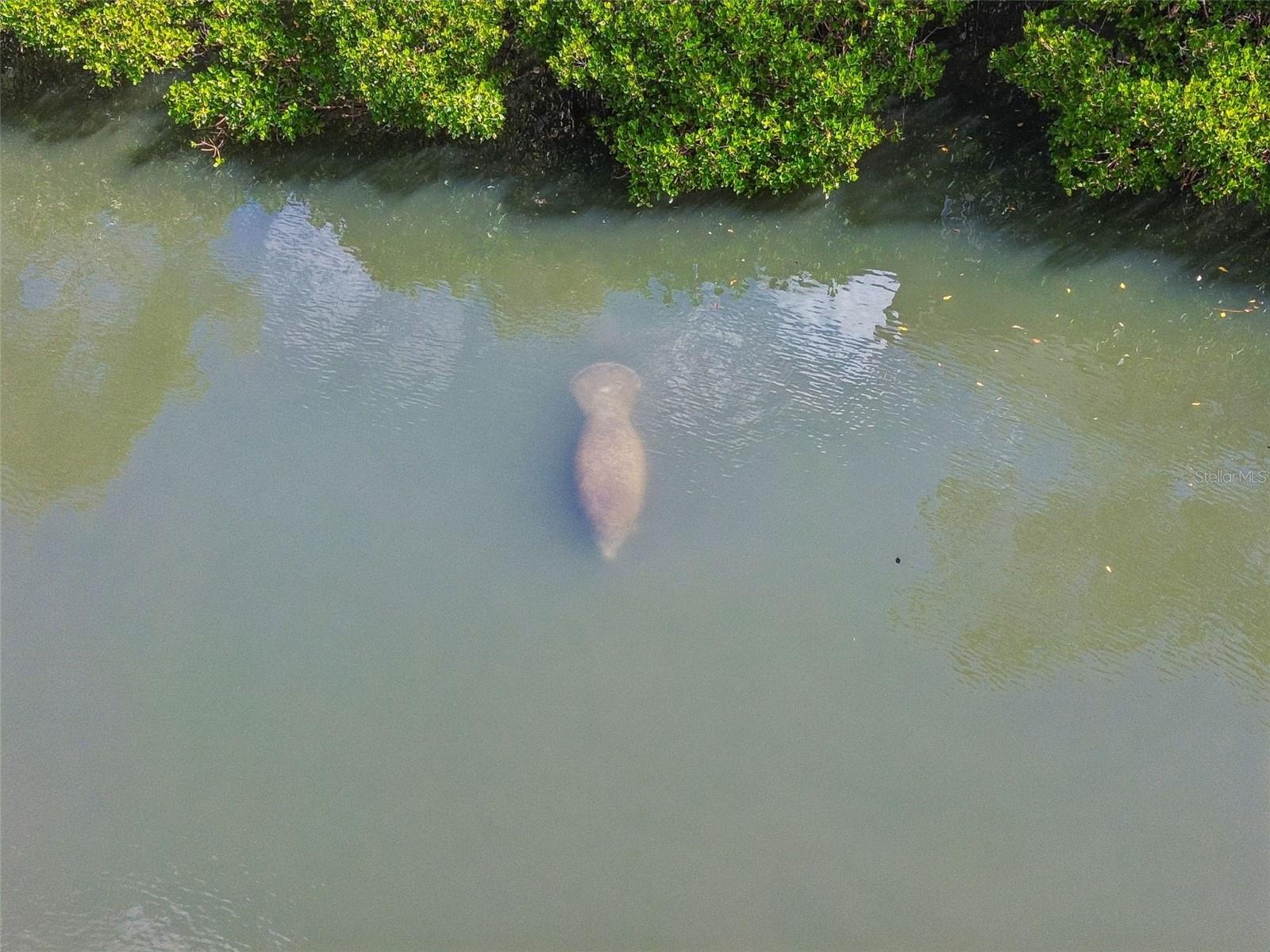 Image 73 of 92 For 454 Bahia Beach Boulevard