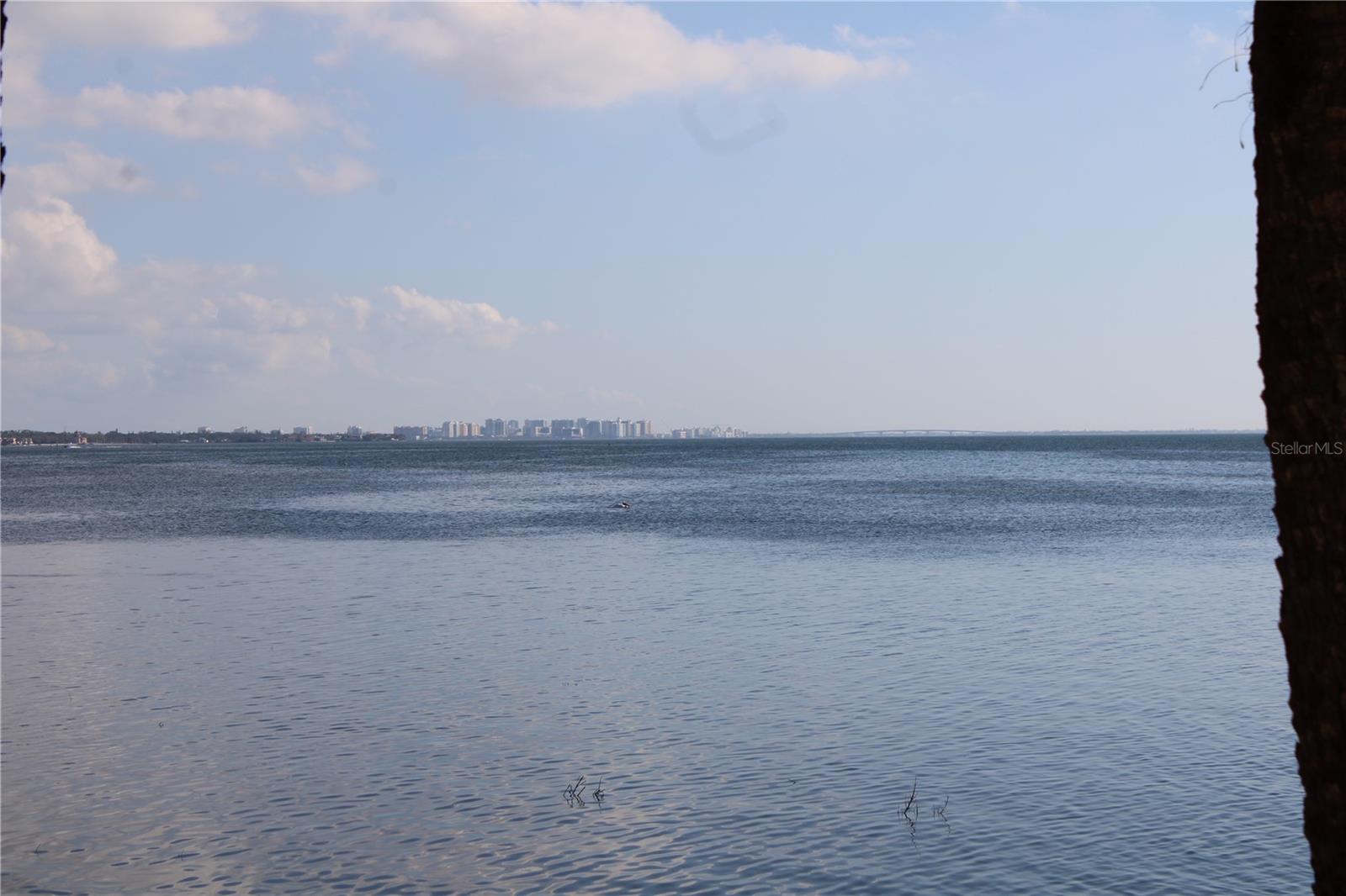 Image 47 of 55 For 6470 Mourning Dove Drive 203