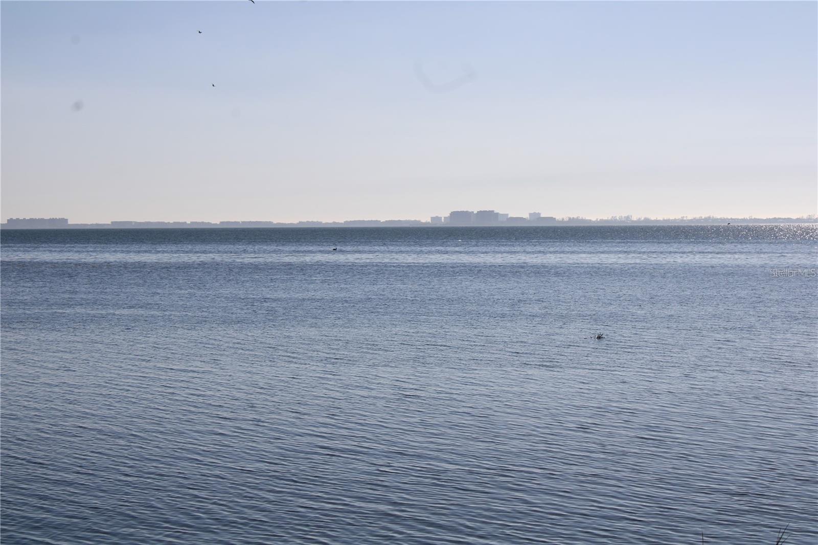 Image 49 of 55 For 6470 Mourning Dove Drive 203