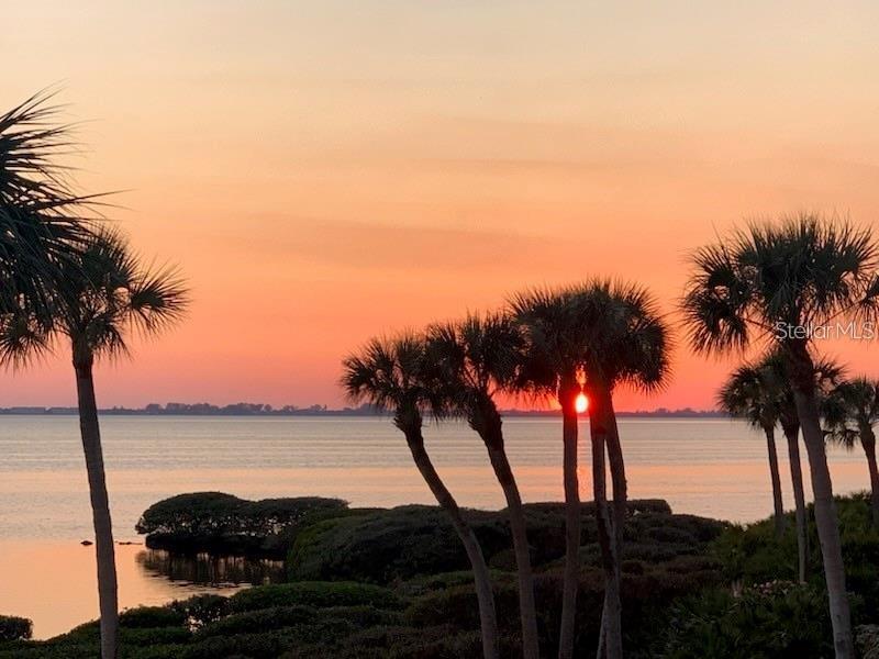 Image 52 of 55 For 6470 Mourning Dove Drive 203