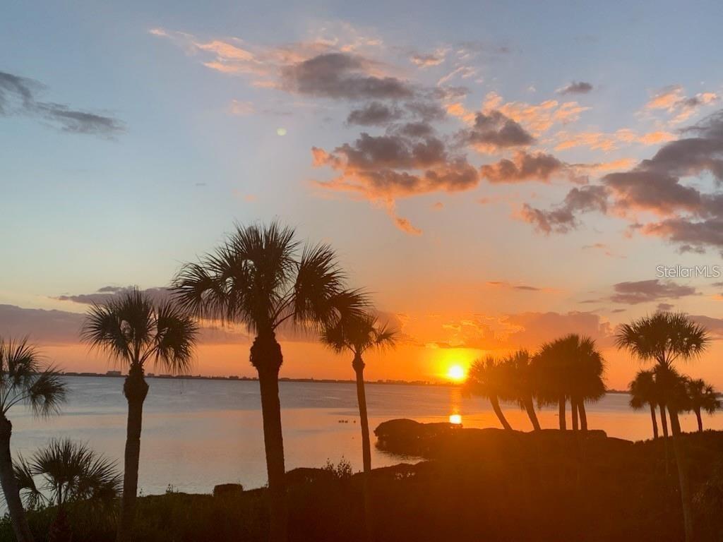 Image 53 of 55 For 6470 Mourning Dove Drive 203