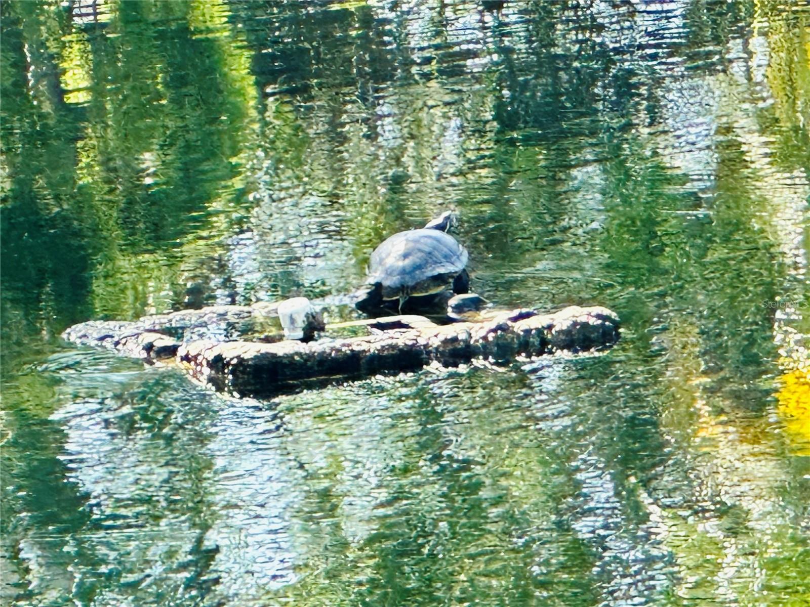 Image 41 of 43 For 5061 Barrington Circle 1302