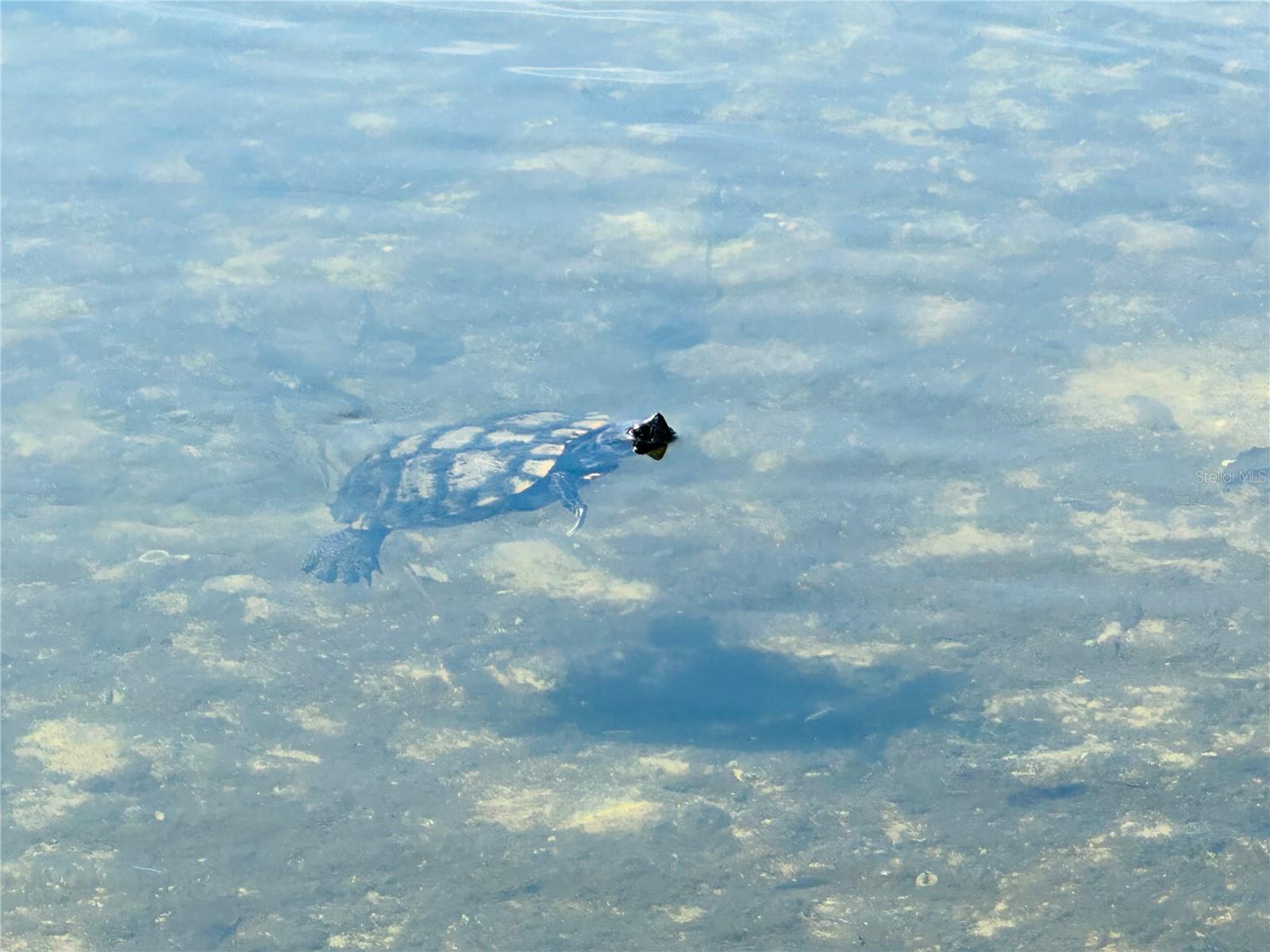 Image 42 of 43 For 5061 Barrington Circle 1302