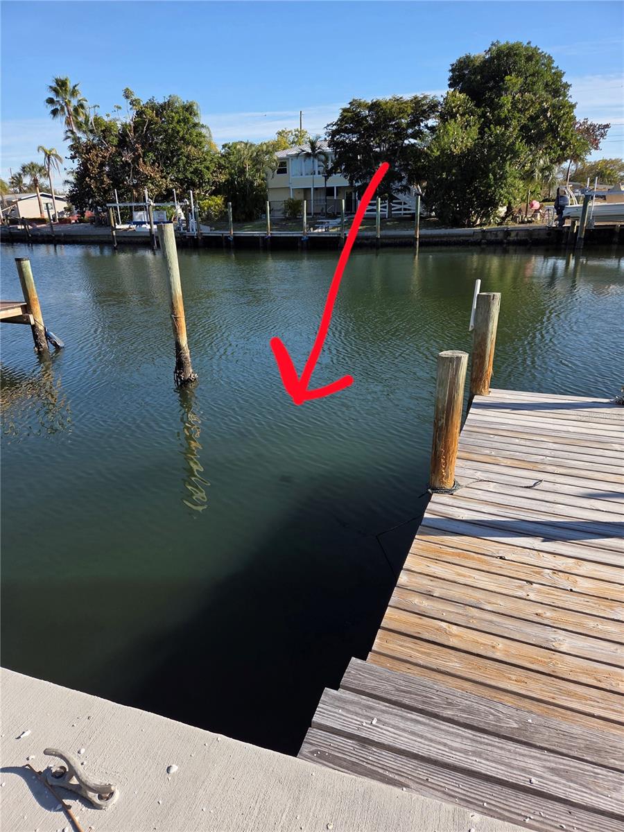 Image 5 of 36 For 10215 Manatee Avenue W 1