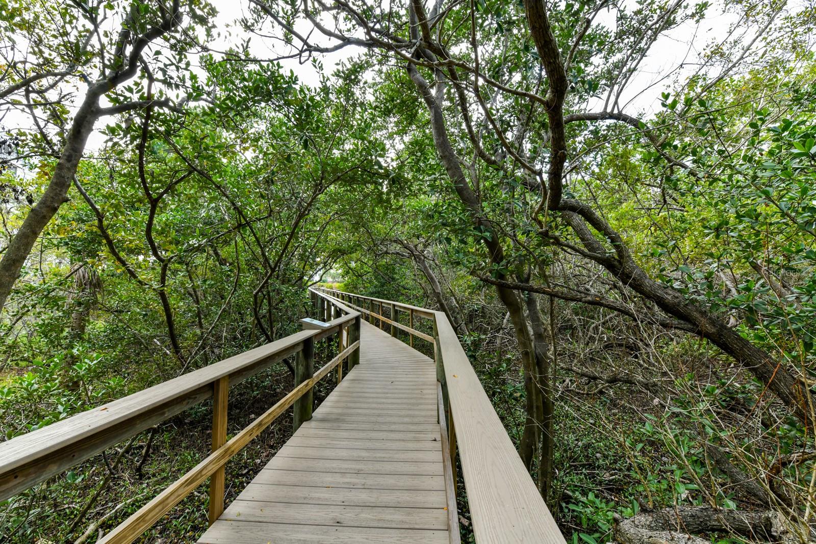 Image 20 of 23 For 3108 Live Oak Lane 21