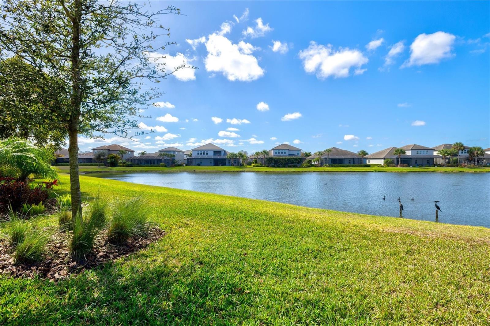 Image 64 of 84 For 6152 Lungo Lago Drive