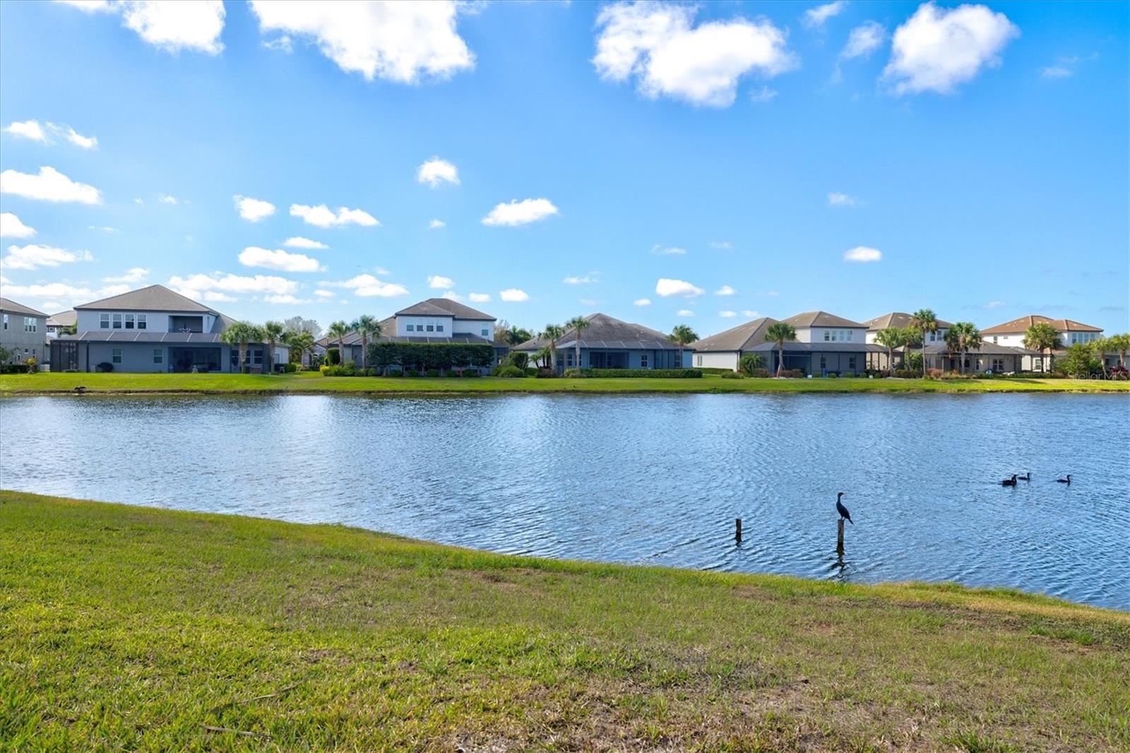 Image 65 of 84 For 6152 Lungo Lago Drive