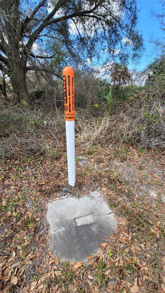 Image 10 of 17 For 4649 Highway 31