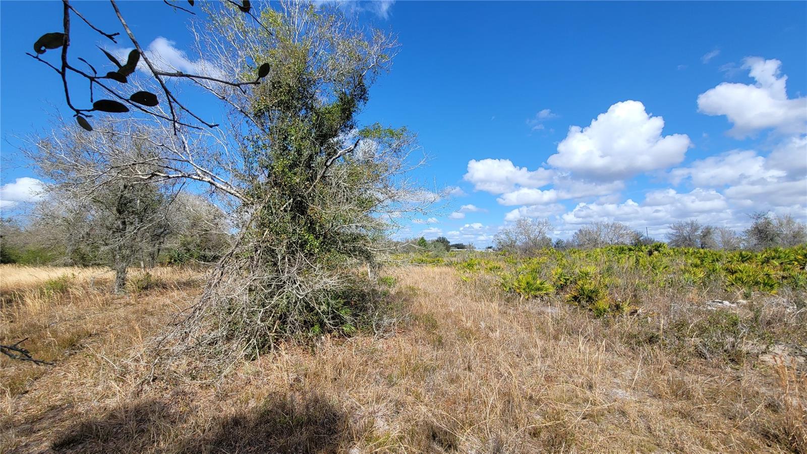 Image 12 of 13 For 4711 Oats Avenue