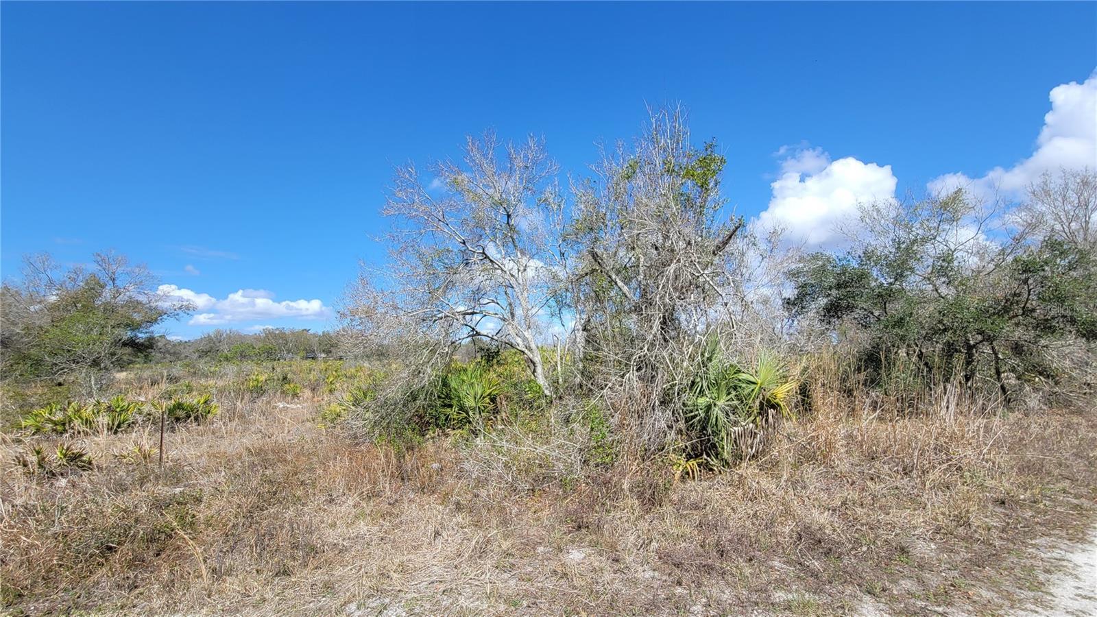 Image 8 of 13 For 4711 Oats Avenue