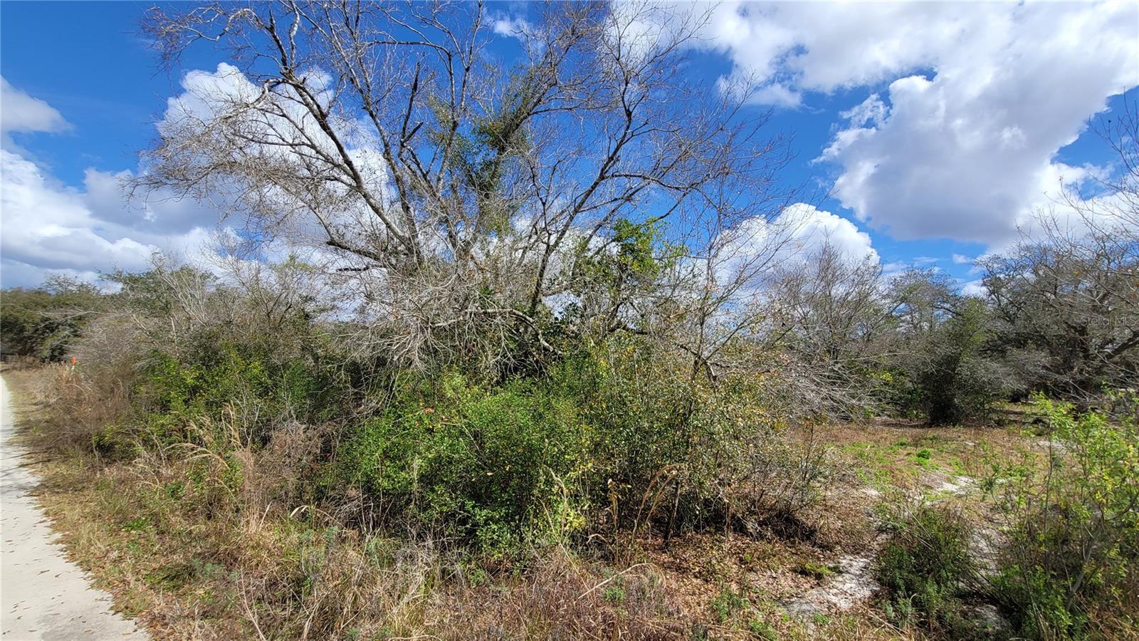 Image 8 of 13 For 4752 Rye Avenue