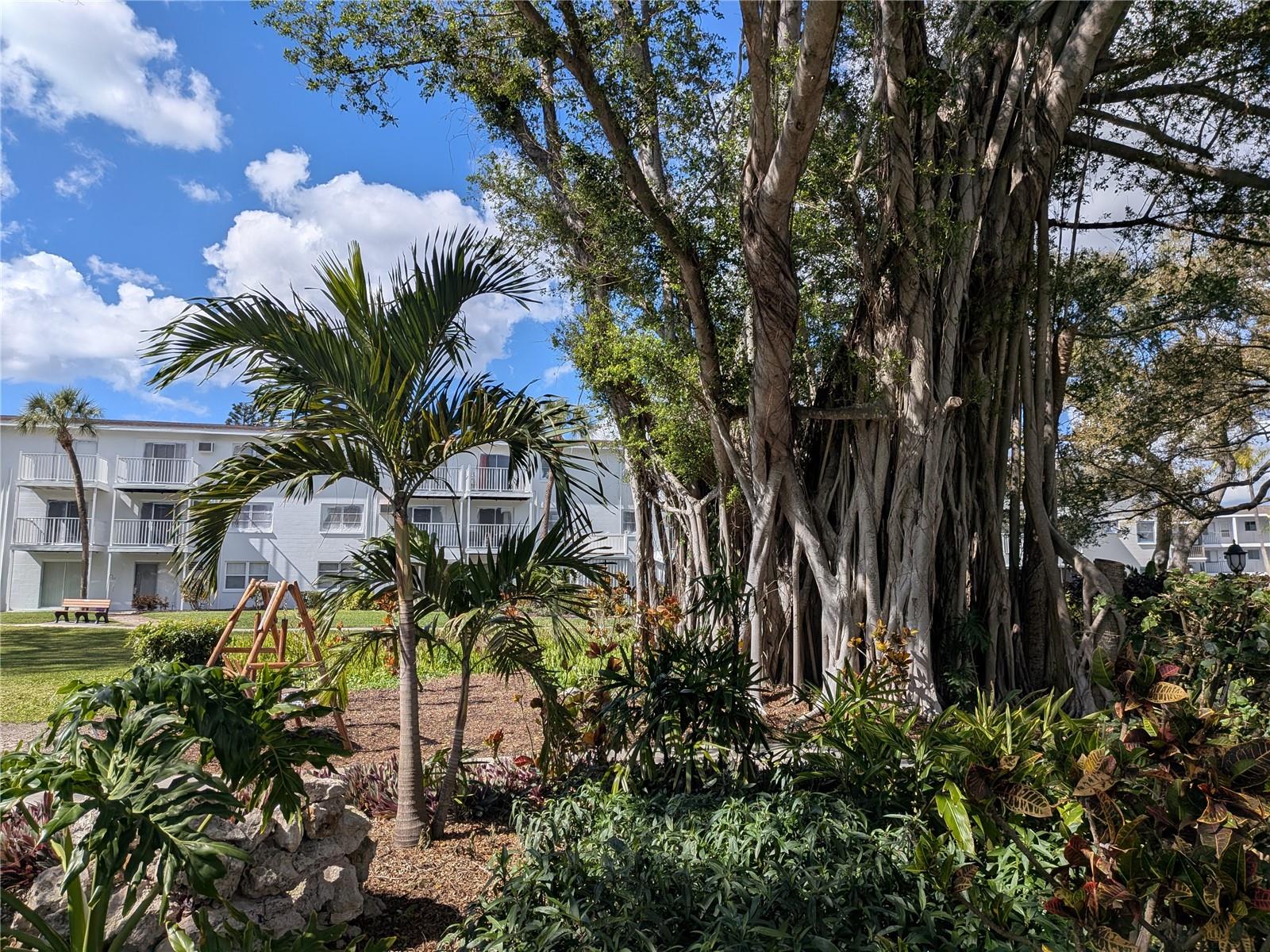 Image 30 of 48 For Address Not Provided