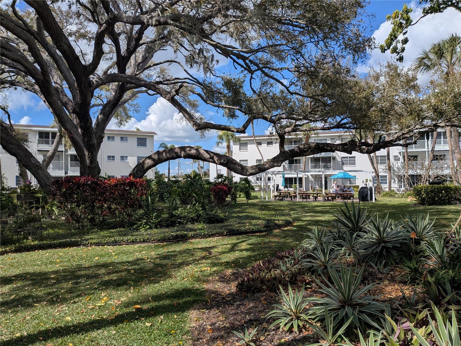 Image 36 of 48 For Address Not Provided