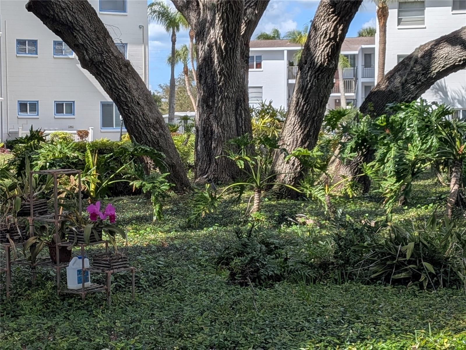 Image 39 of 48 For Address Not Provided