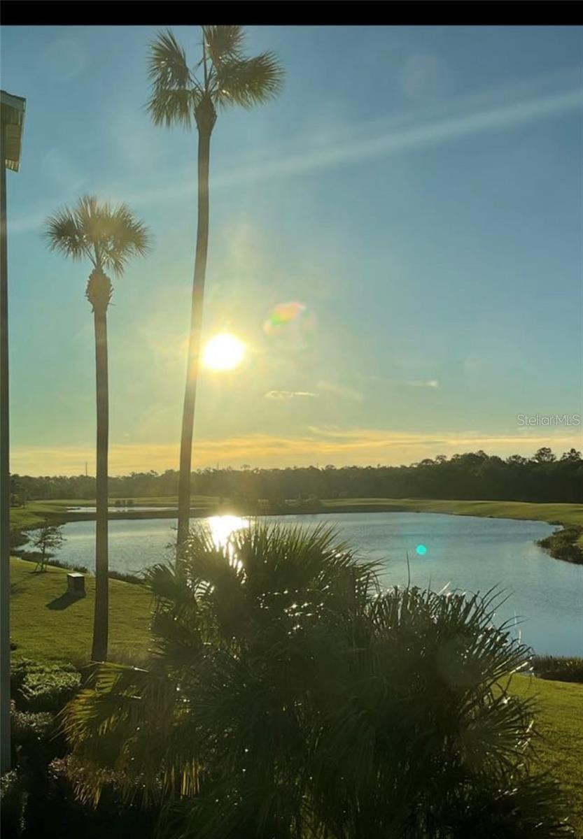 Image 20 of 70 For 17510 Gawthrop Drive 206