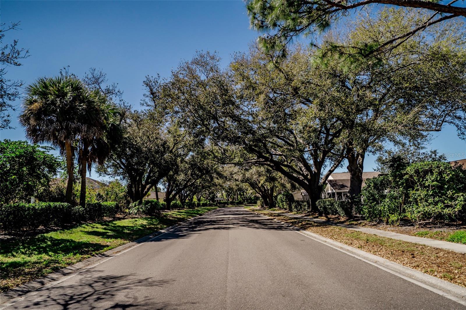 Image 41 of 44 For 3039 58th Terrace E