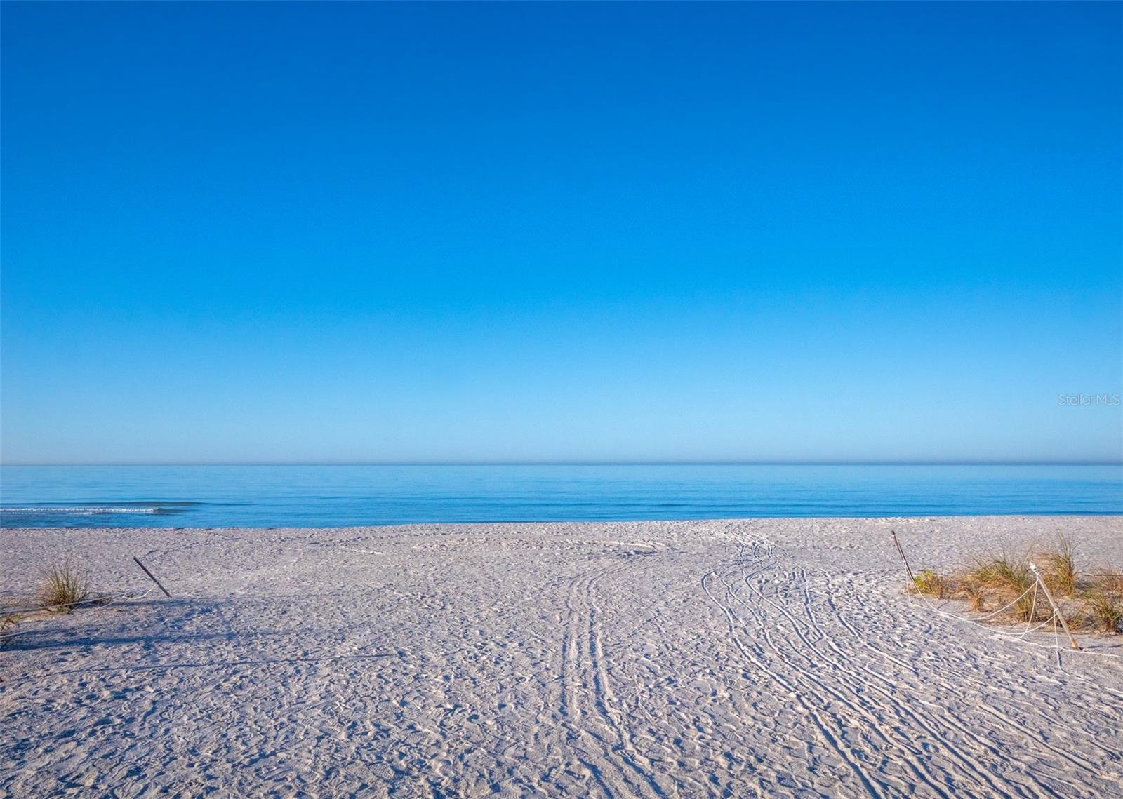 Image 43 of 43 For 726 Jungle Queen Way