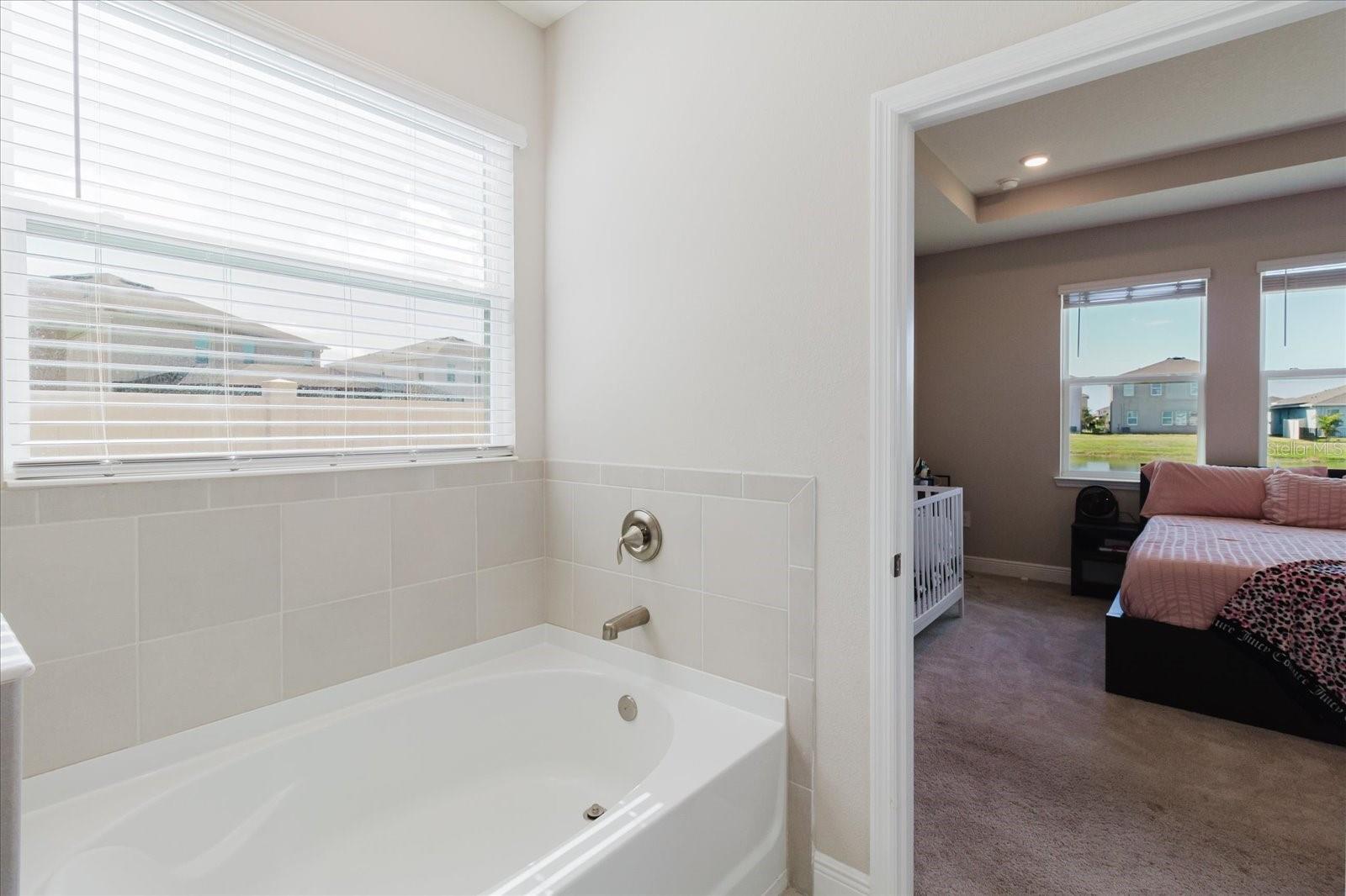 Image 39 of 76 For 17544 Cantarina Cove