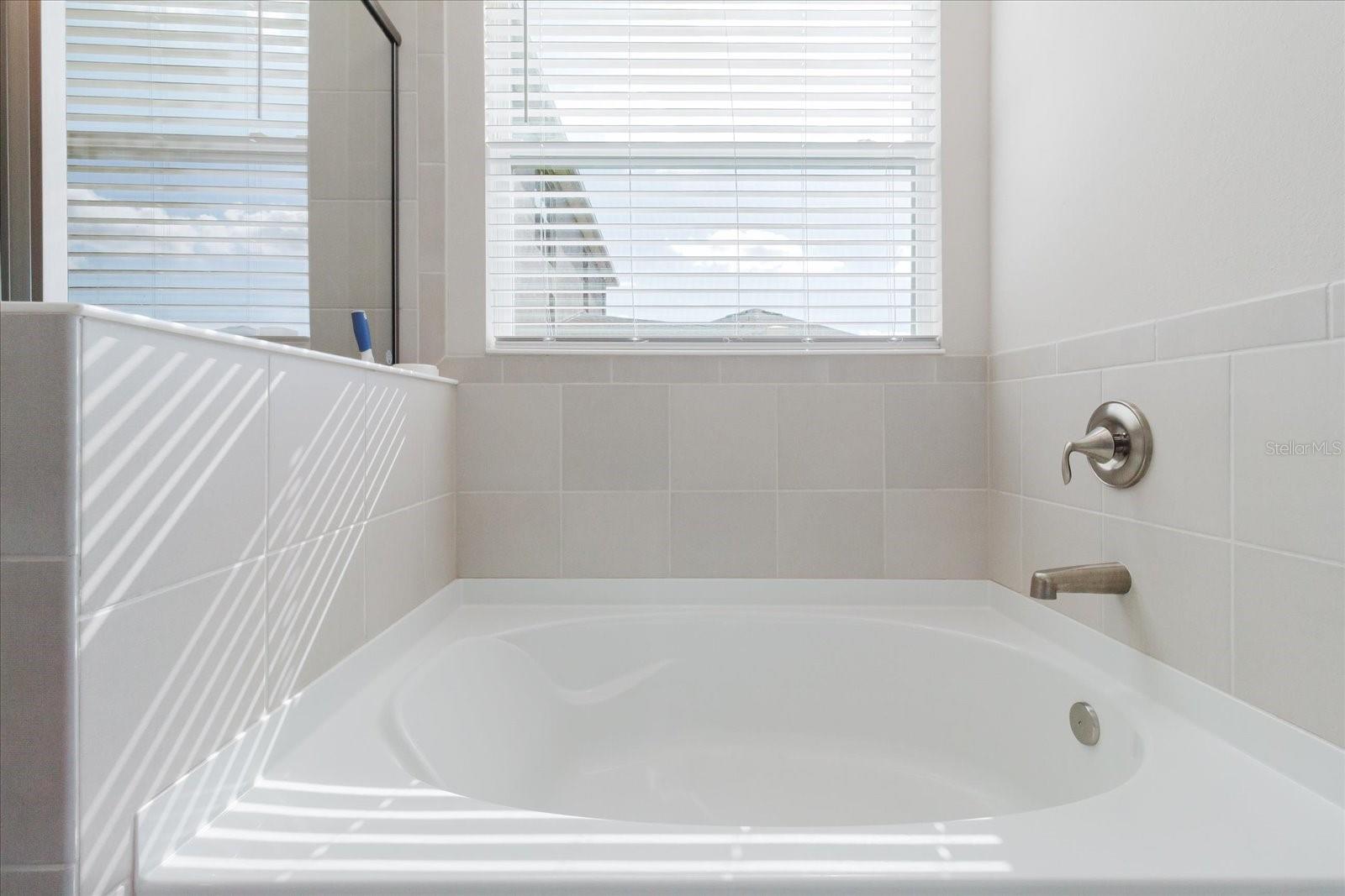 Image 40 of 76 For 17544 Cantarina Cove