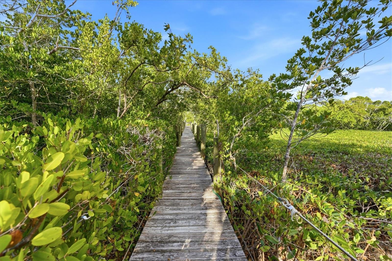 Listing photo id 29 for 700 Tropical Circle