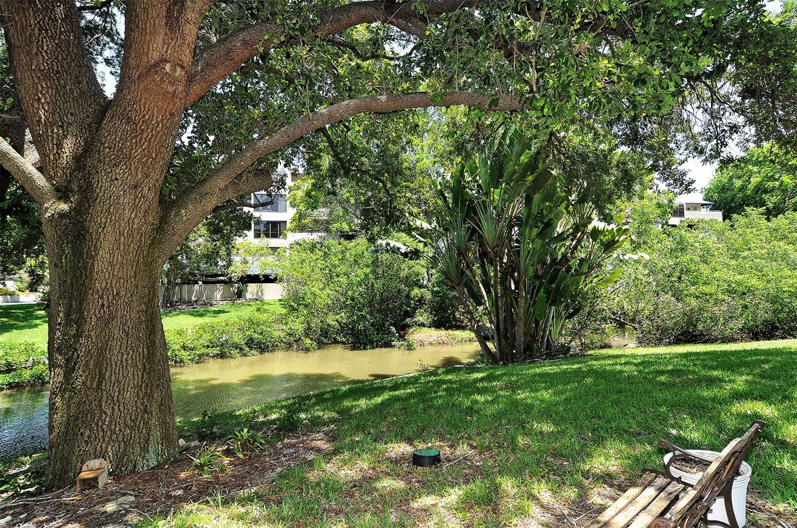 Image 33 of 35 For 825 Osprey Avenue 108