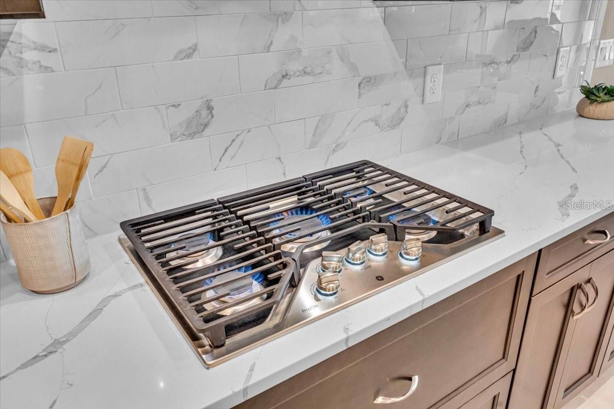 Image 11 of 70 For 17502 Savory Mist Circle