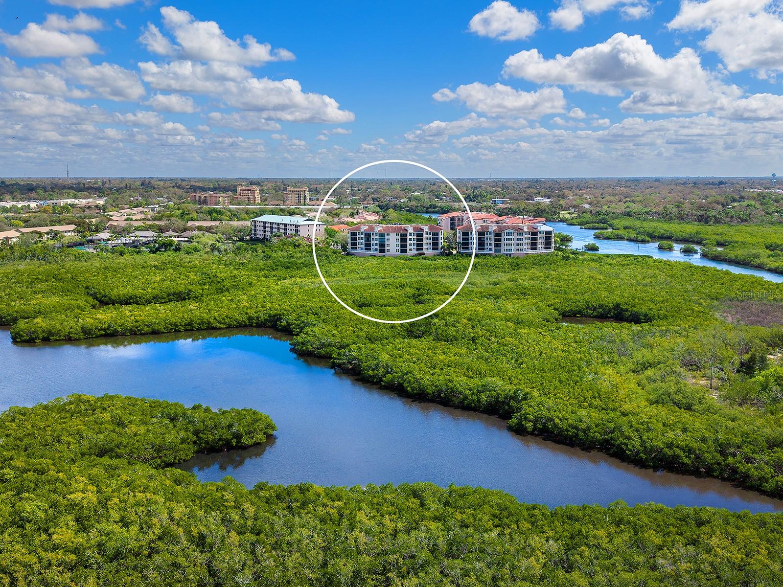 Image 50 of 51 For 5420 Eagles Point Circle 106