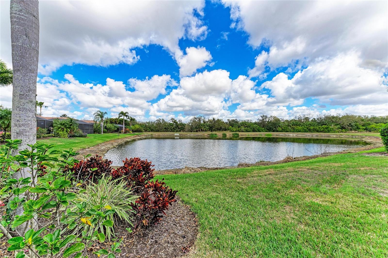 Image 49 of 79 For 9007 Hammock Edge Place