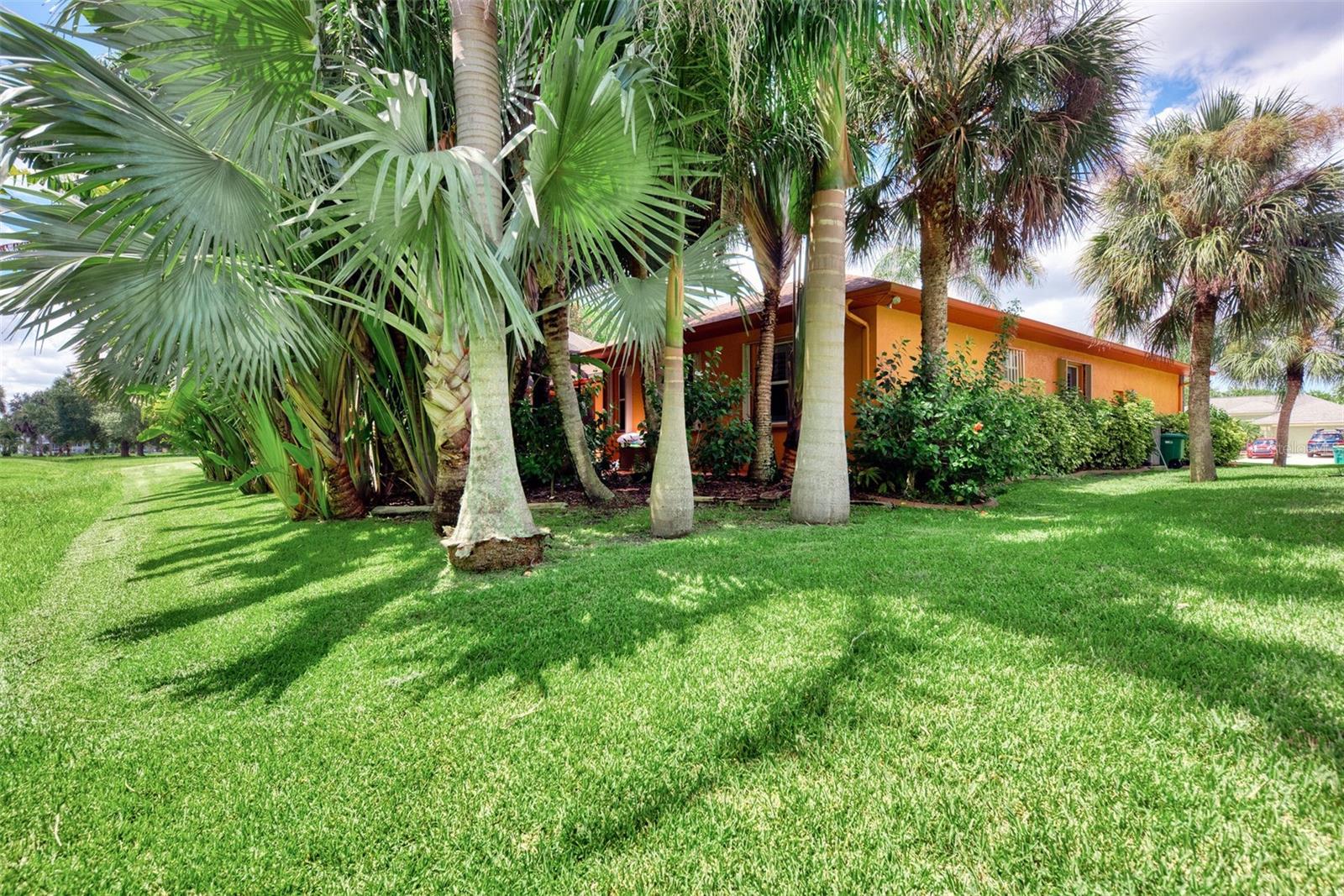 Image 47 of 48 For 118 Sao Luiz Street